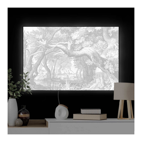 Bild von LED-Wechselbild Wald Kupferstich