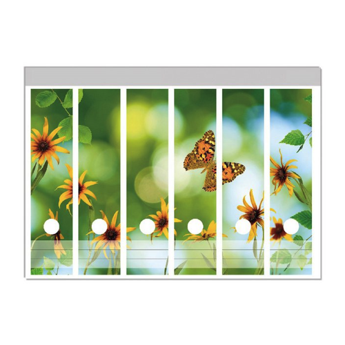 Bild von Wallario Etiketten Blumen mit Schmetterling – Farbige Ordnerrücken-Sticker