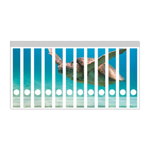Bild von Wallario Etiketten Meeresschildkröte – Ordnerrücken-Sticker für einen farbenfrohen Look