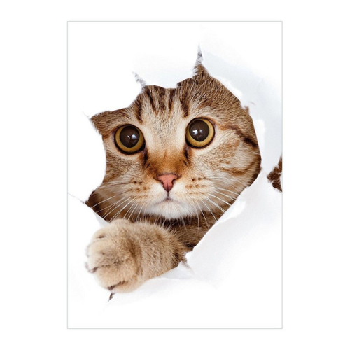 Bild von Katzenbaby Kunstdruck Wandbild von Wallario