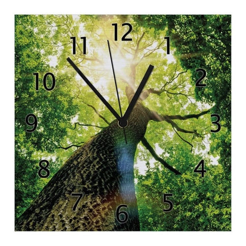 Bild von Wallario Wanduhr Laubbaum aus der Froschperspektive