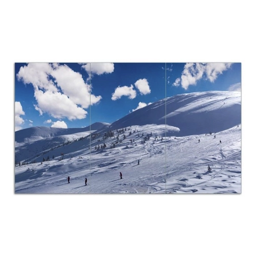 Bild von Wallario Herd-Abdeckplatte Ski-Piste in den Alpen