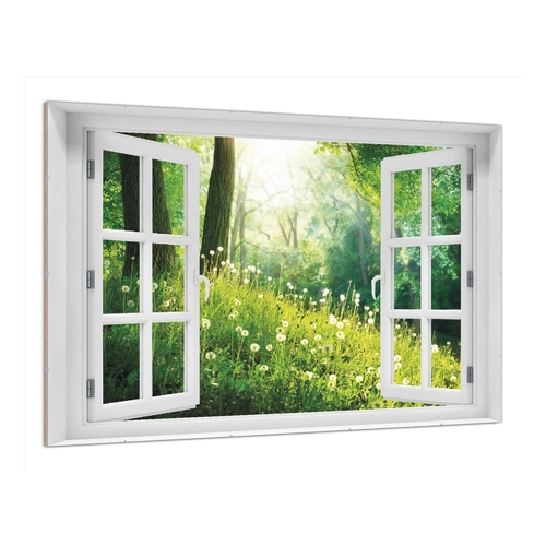 Bild von Wallario Poster – Pusteblumen im Wald mit einfallenden Sonnenstrahlen