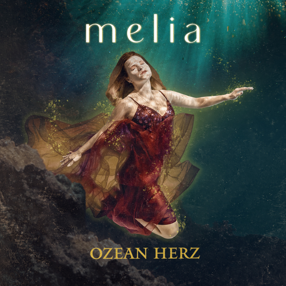 Bild von Ozean Herz (Vinyl)