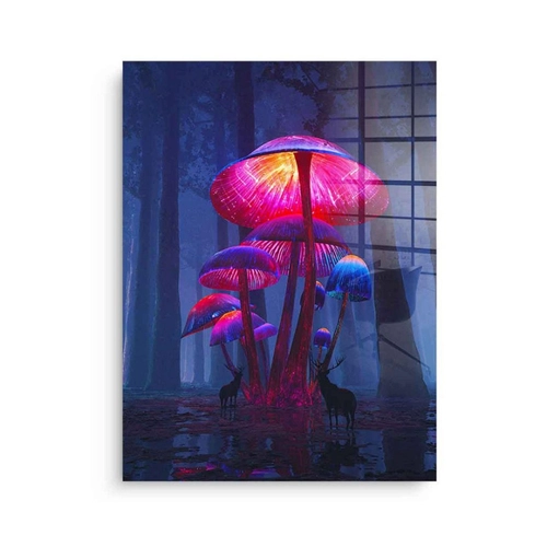 Bild von The Magic Shrooms - Acrylglasbild von DOTCOMCANVAS®