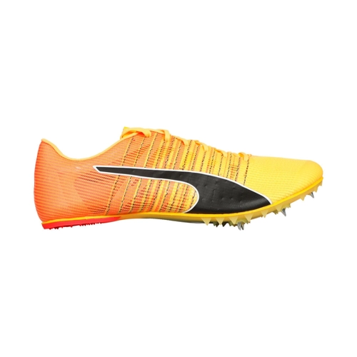 Bild von Puma EvoSPEED FUTURE 6 Spikeschuh