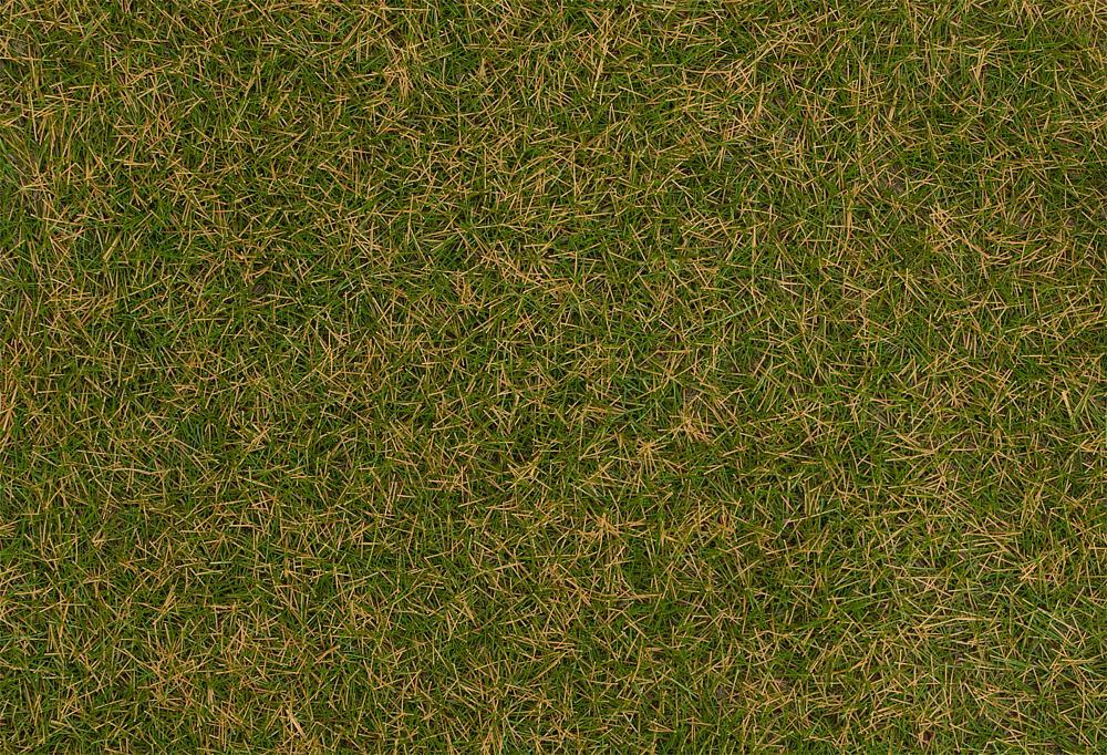 Bild von Streufasern Wildgras, braungrün, 4 mm (1000 g)