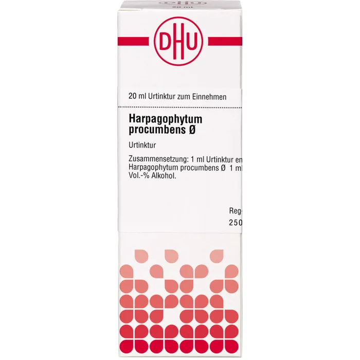Bild von DHU Harpagophytum procumbens Urtinktur D1 20 ml - Homöopathisches Arzneimittel