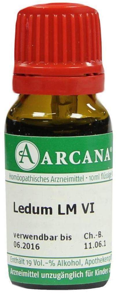 Bild von Ledum Lm 6 Dilution 10 ml - Registriertes homöopathisches Arzneimittel