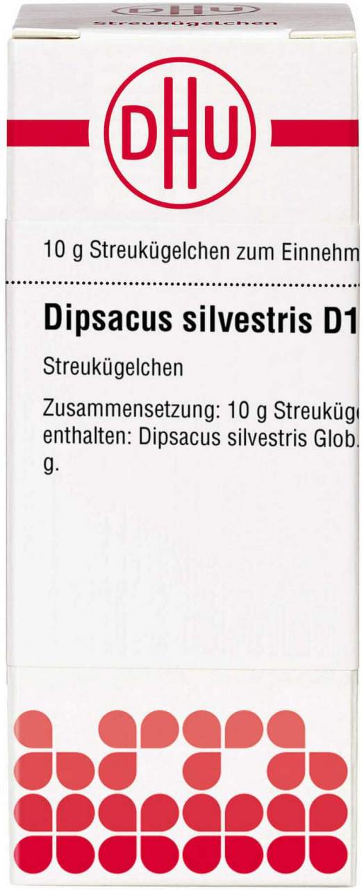 Bild von DHU Dipsacus silvestris D12 Globuli 10 g - Registriertes homöopathisches Arzneimittel