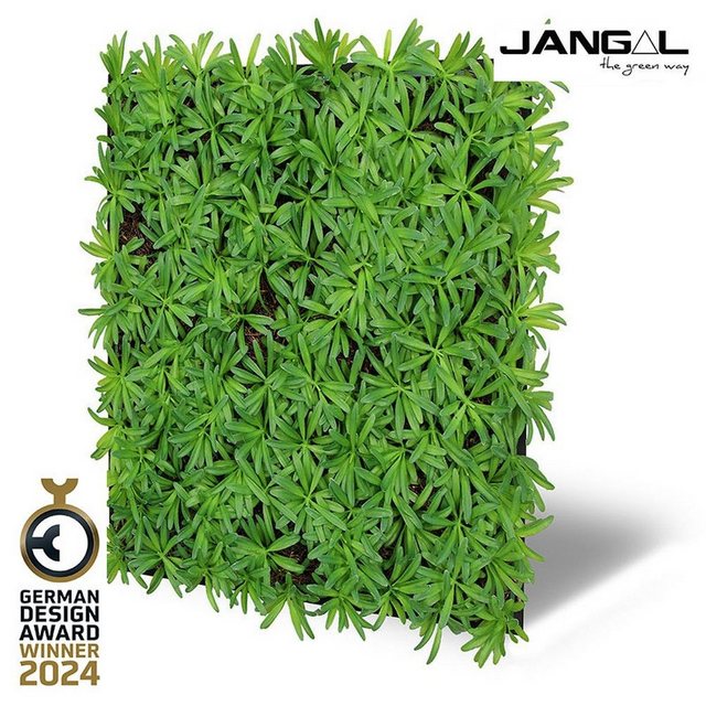 Bild von JANGAL Modular Wall Akustik Wandpaneel 520 x 520 x 50 mm Podocarpus Tea Tree Naturfaser Pflanzenwand