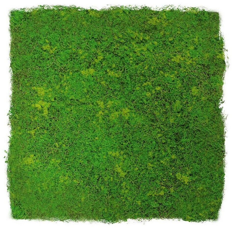 Bild von JANGAL Modular Wall Akustik Wandpaneel 520 x 520 x 30 mm Light Green Fibre Design Moos Pflanzenwand