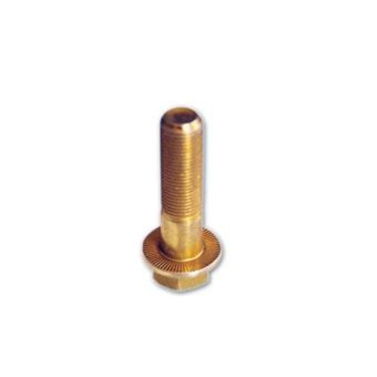 Bild von Schraube AUGER 51524