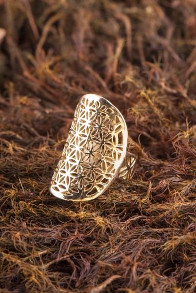 Bild von Blume des Lebens Ring, verstellbar