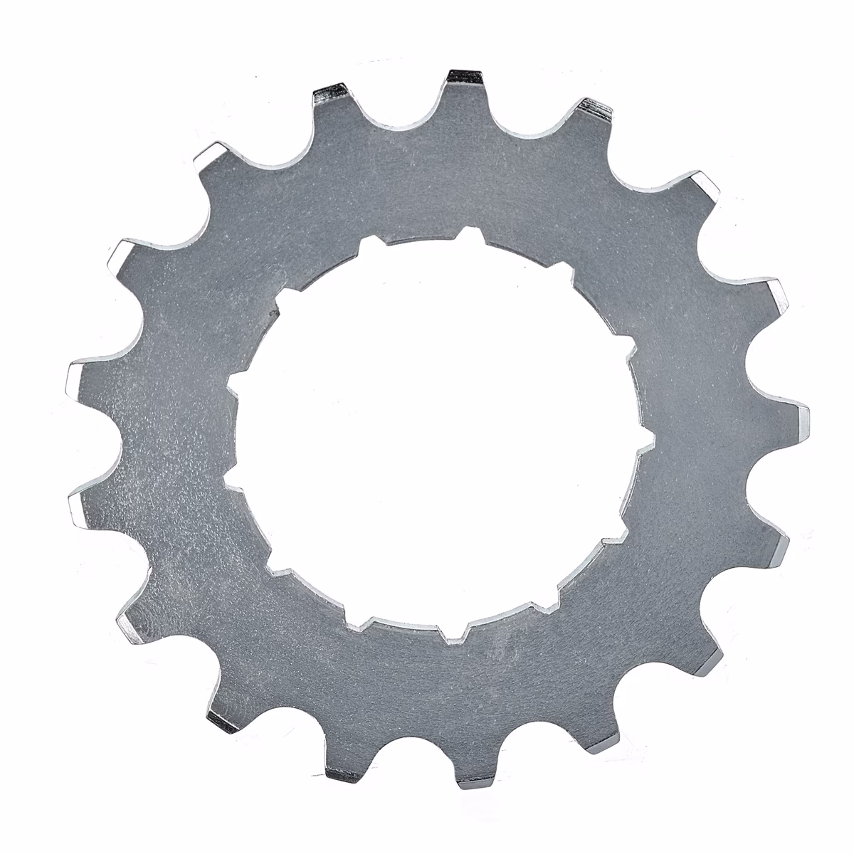 Bild von Rohloff Steckritzel