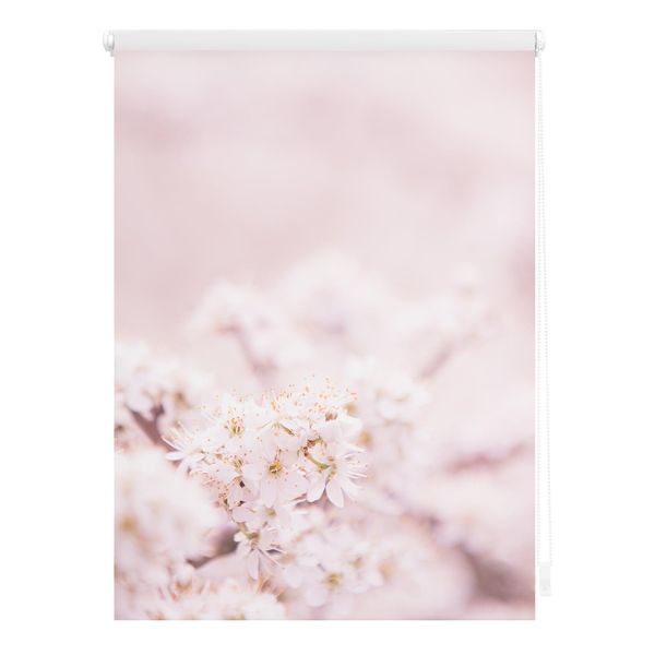 Bild von Lichtblick Klemmfix Tageslicht-Rollo mit Motiv, ohne Bohren, Blickdicht, Seitenzugrollo, Made in Germany, Kirschblüten - Rosa Weiß 90 cm x 150 cm (B x L)
