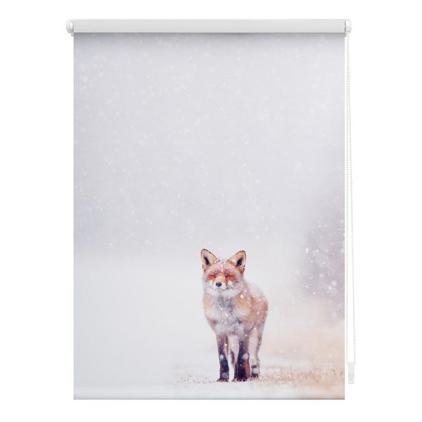Bild von Lichtblick Klemmfix Tageslicht-Rollo mit Motiv, ohne Bohren, Blickdicht, Seitenzugrollo, Made in Germany, Fuchs im Schnee - Weiß Rot 120 x 150 cm (B x L)
