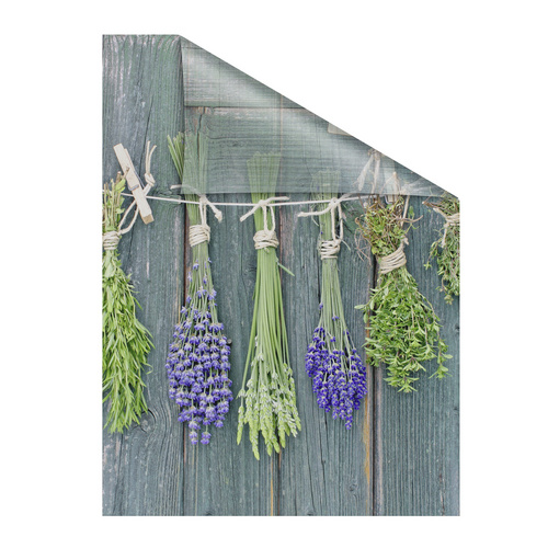 Bild von Lichtblick Fensterfolie, Polyvinylchlorid (PVC), Format: 100 x 100 cm (B x L) cm - gruen
