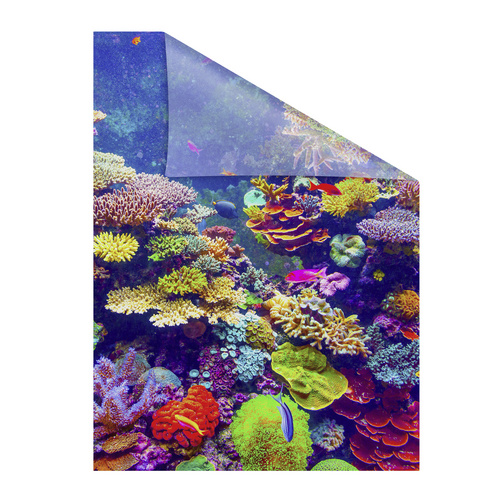 Bild von Lichtblick Fensterfolie, Polyvinylchlorid (PVC), Format: 100 x 100 cm (B x L) cm - bunt