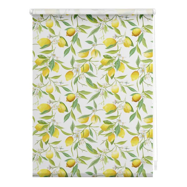 Bild von Lichtblick Klemmfix Tageslicht-Rollo mit Motiv, ohne Bohren, Blickdicht, Seitenzugrollo, Made in Germany, Limone - Gelb Grün 60 cm x 150 cm (B x L)