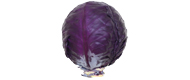Bild von Rotkohl (1 kg)