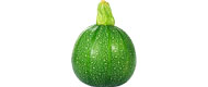 Bild von Kürbis Rondini (1 kg)