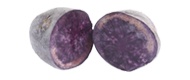 Bild von Kartoffeln Purple Rain (1 kg)