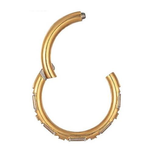 Bild von Karisma Titan G23 Hinged Segmentring - Elegant und Praktisch