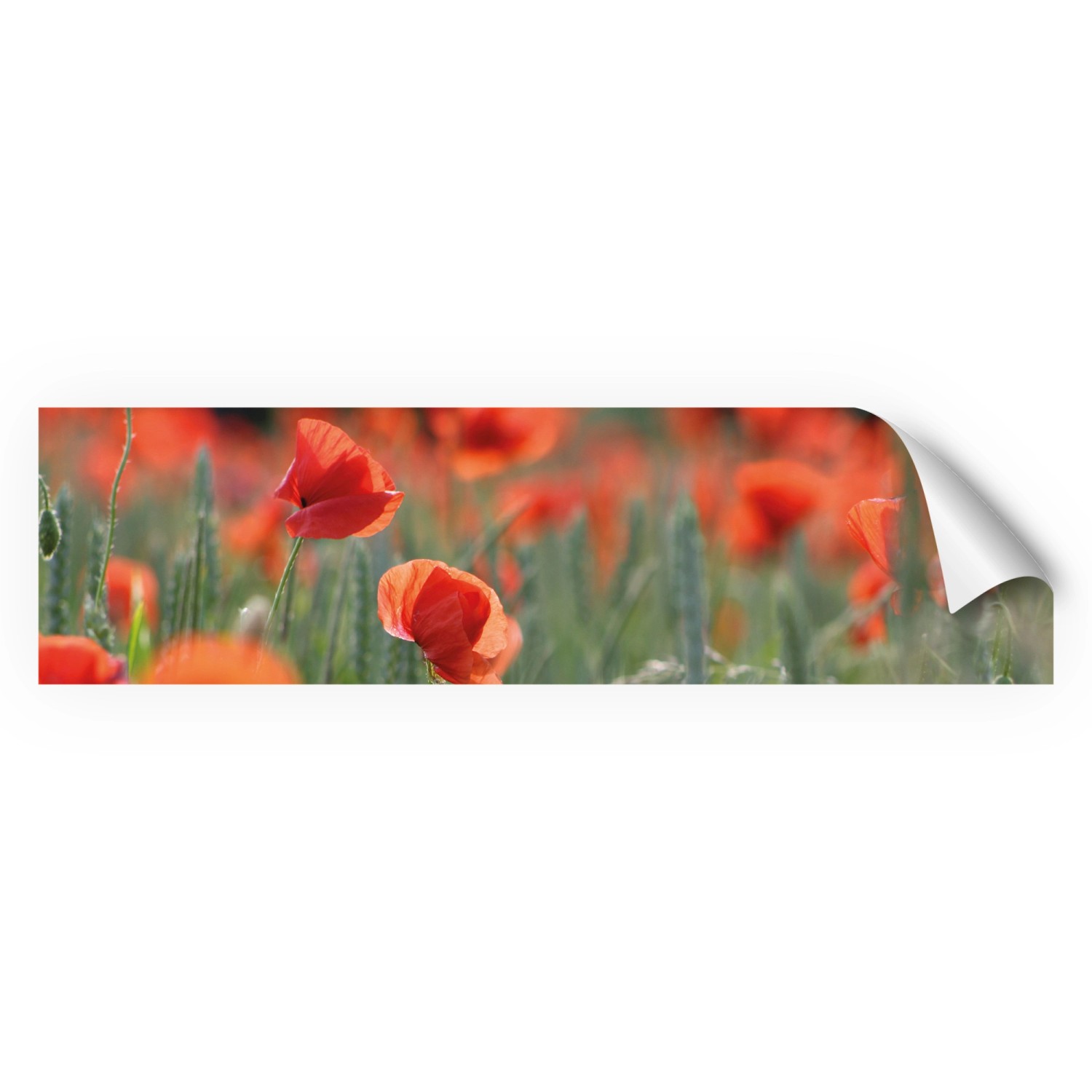 Bild von Myspotti Küchenrückwandfolie Mohn Selbstklebend 220 cm x 60 cm