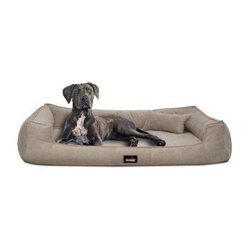 Bild von Tierlando ® BRUCE VELOURS Orthopädisches Hundebett Soft beige 1,3 m, 25 cm, 1 m