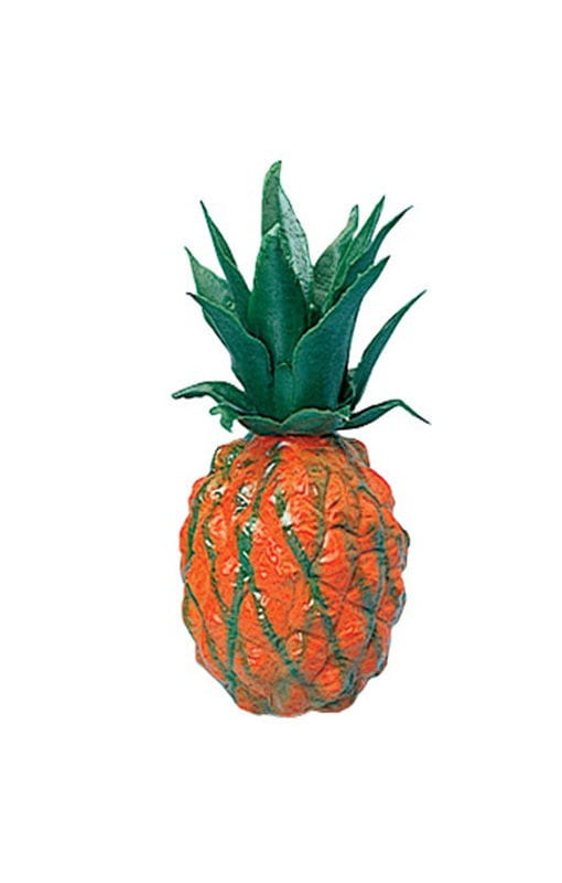 Bild von Deko Ananas Frucht
