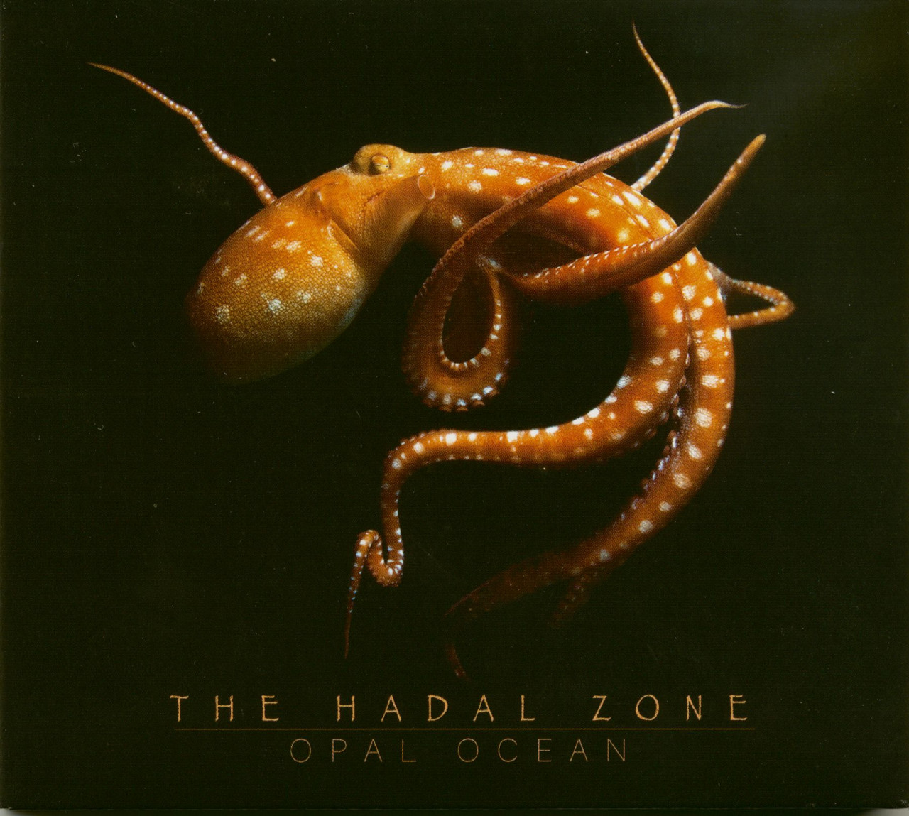 Bild von Opal Ocean - The Hadal Zone (CD)