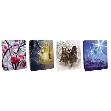 Bild von TSI Schreibwaren Aufbewahrungsbox 12 Geschenktaschen / Geschenkbeutel / Geschenktüten / Maße: 327x264x1