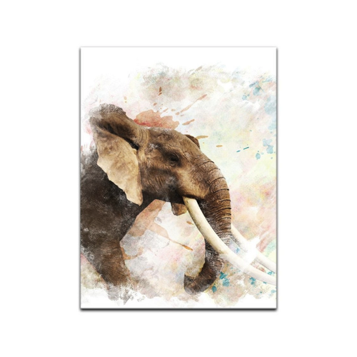Bild von Bilderdepot24 Leinwandbild Aquarell - Elefant, Tiere im Test