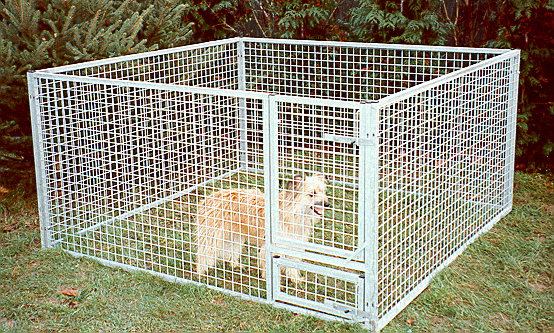 Bild von Gitter-Welpenauslauf Nicki - 2,0 x 2,0 m