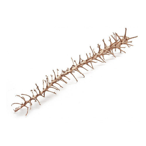 Bild von NaDeco Bastelnaturmaterial Rib Stick kupfer ca. 100cm Palmenblüte