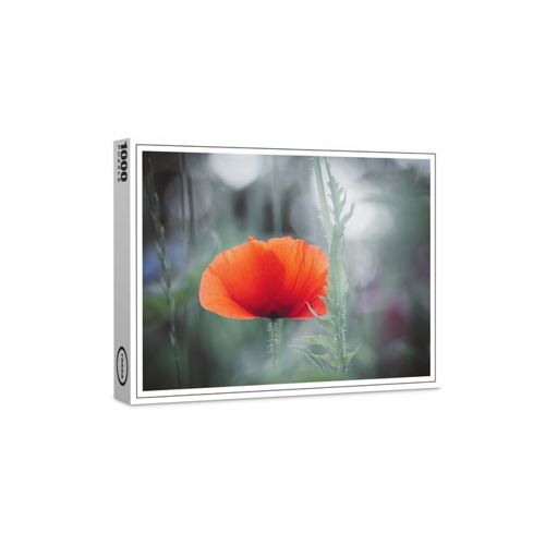 Bild von raxxa Puzzle Premium-Puzzle "Roter Mohn" - Ein einzigartiges Puzzlearbeiterlebnis