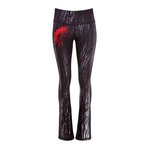 Bild von Winshape Leggings "Functional Power Shape BCL107" im Test