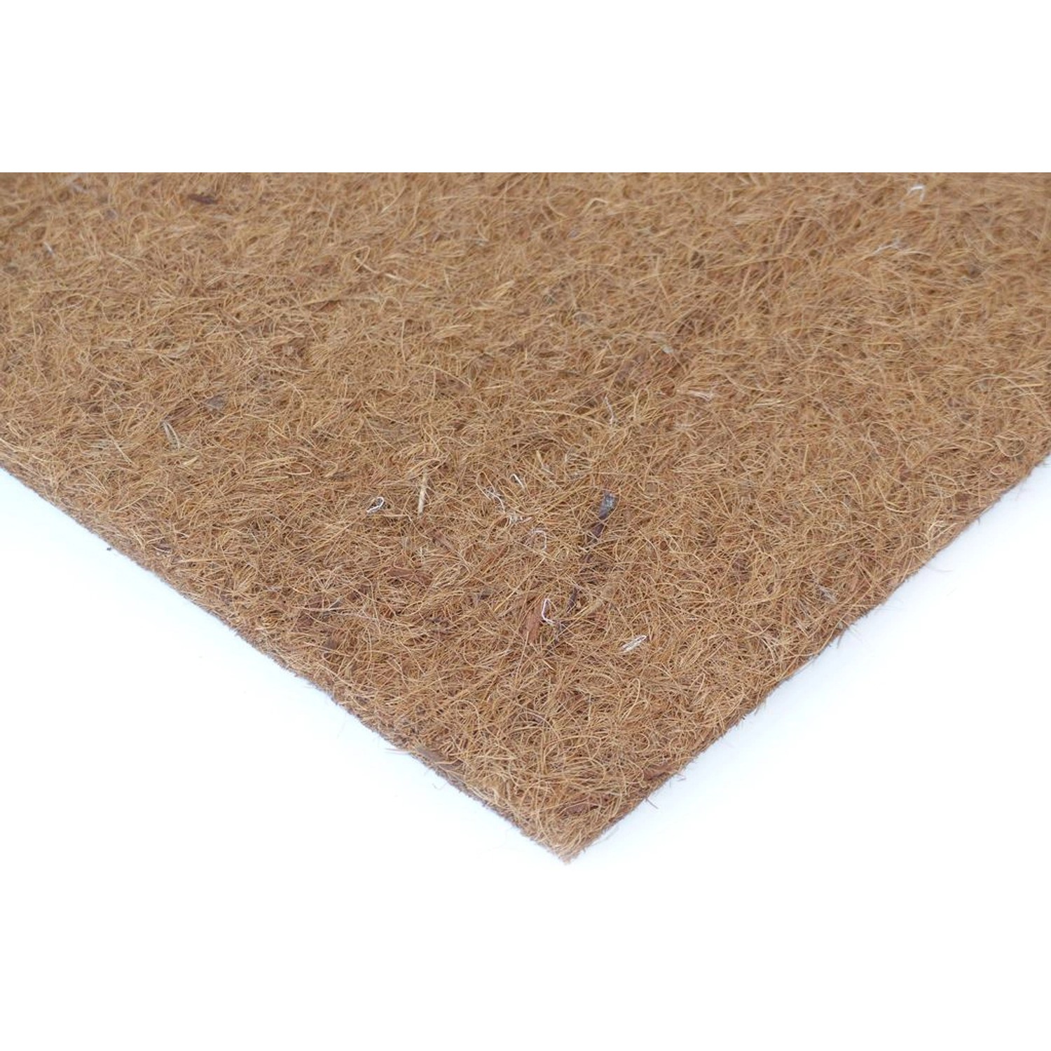 Bild von Kokosfaser Rückwand für Terrarien 50 cm x 50 cm mit 4 Pflanzmulden