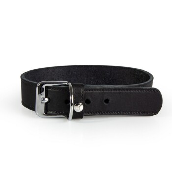 Bild von Das Lederband Halsband Weinheim schwarz 47 cm, 2,5 cm