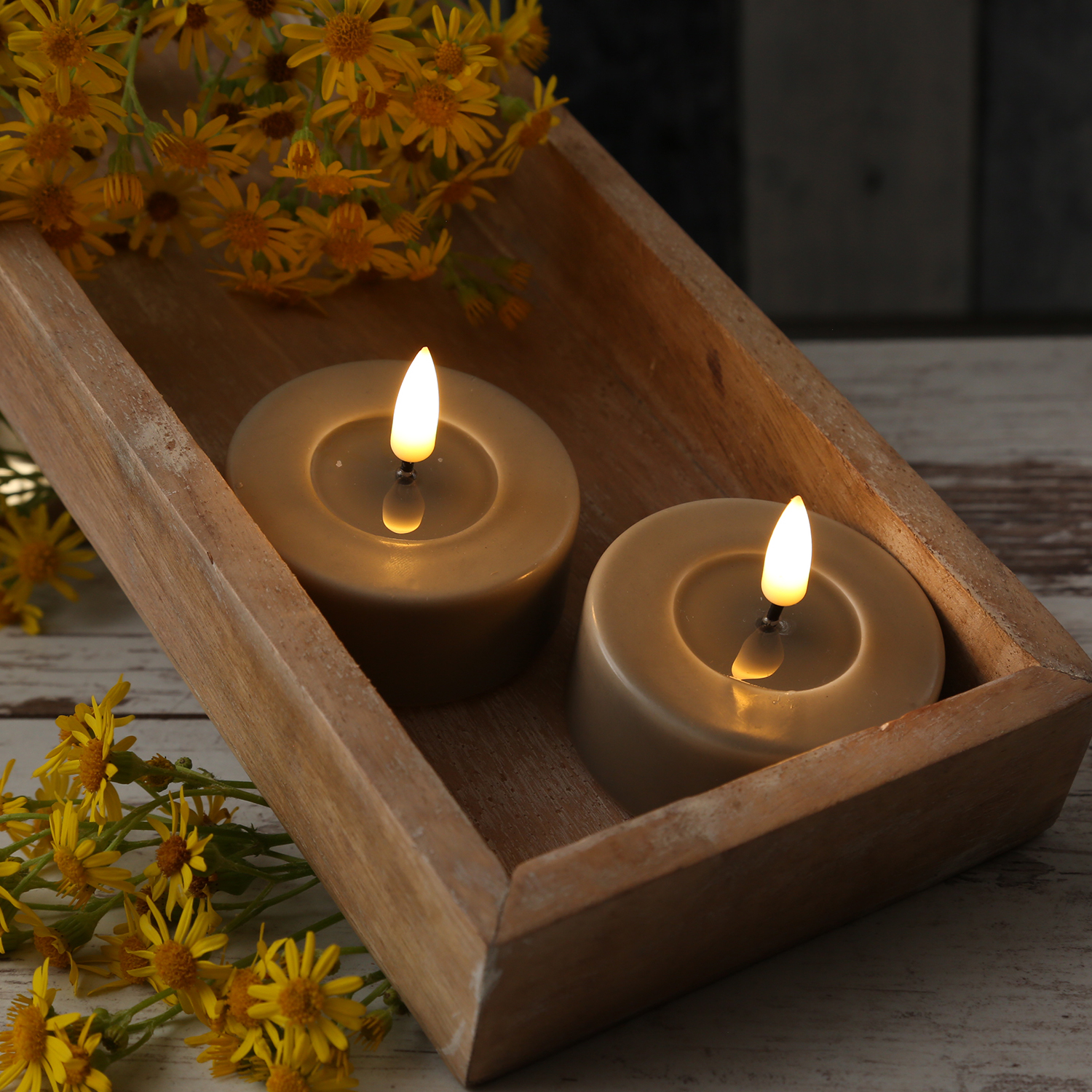 Bild von LED Teelichter MIA - Kunststoff - realistische 3D Flamme - D: 6,1cm...