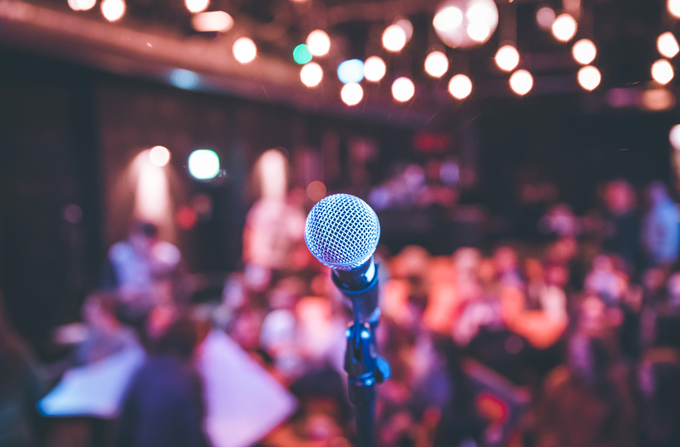 Bild von Musical Dinner Starnberg