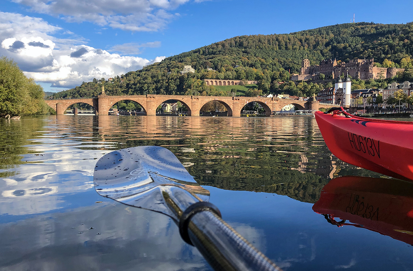 Bild von Paddle Tour Heidelberg (2 Std.)