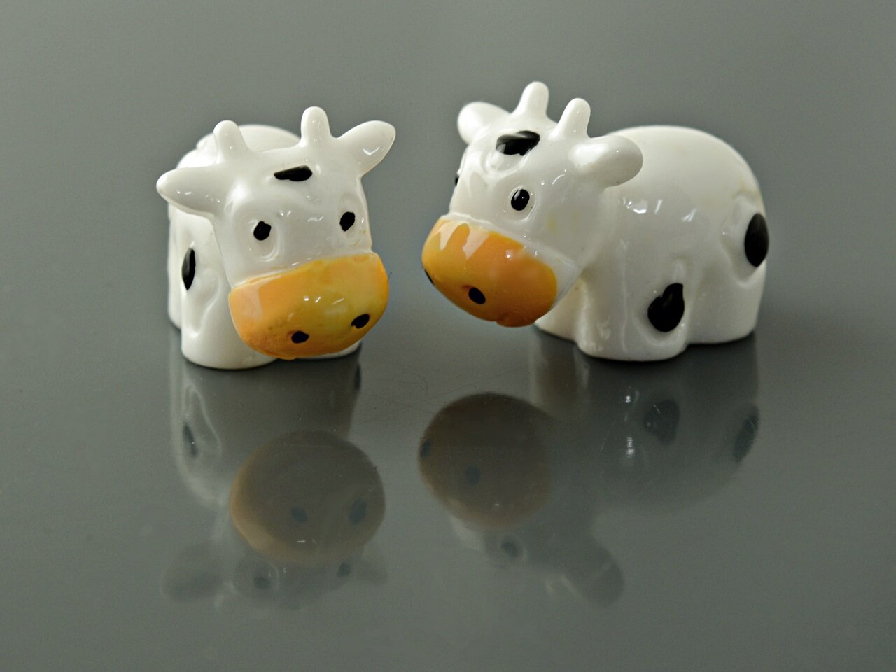 Bild von 4 Cabochons "Mooo" aus Resin