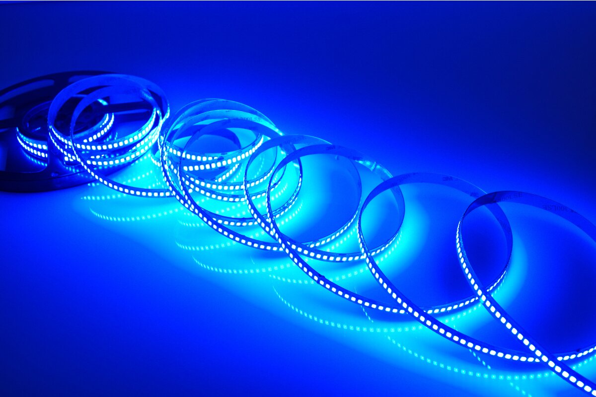 Bild von 5 Meter LED Streifen 24V Blau 20W & 240 LEDs/M IP20