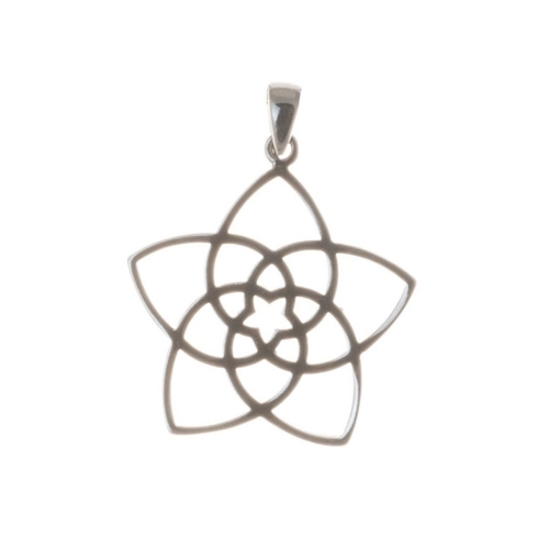 Bild von Eleganter Kettenanhänger Venusblume aus 925 Sterling Silber