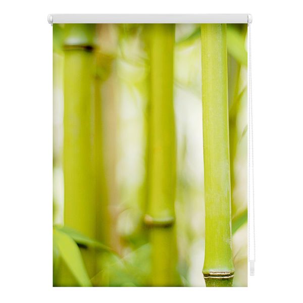 Bild von LICHTBLICK ORIGINAL Seitenzugrollo »Rollo Klemmfix, ohne Bohren, Verdunkelung, Bambus - Grün«, verdunkelnd, Verdunkelung-energiesparend, freihängend