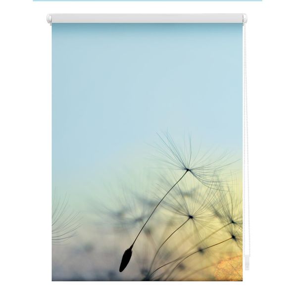 Bild von LICHTBLICK ORIGINAL Seitenzugrollo »Rollo Klemmfix, ohne Bohren, Verdunkelung, Pusteblume - Blau«, verdunkelnd, Verdunkelung-energiesparend, freihängend