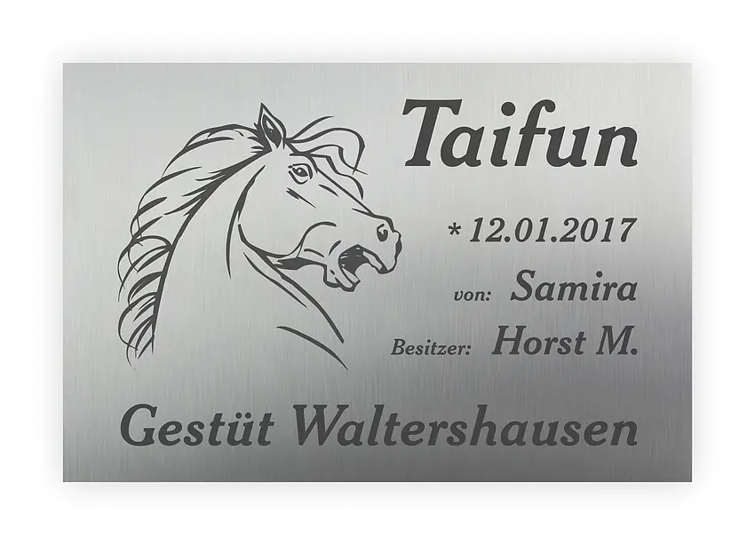 Bild von Hochwertiges Schild für Pferdebox aus Edelstahl mit Lasergravur 30 x 20 cm