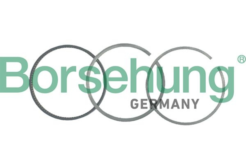 Bild von Borsehung Kolbenringsatz B19044